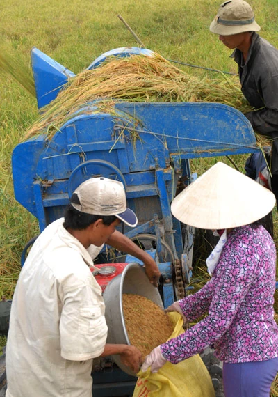 Liên kết ứng phó với biến đổi khí hậu