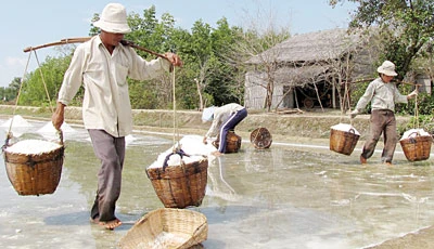 Hạt muối, bao giờ hết nghịch lý?