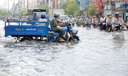 Mưa nhỏ đã lo... ngập