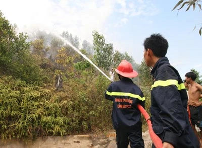 Đà Nẵng: Cháy rừng đe dọa nhà dân