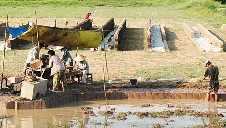 Nghiên cứu khoa học xã hội: Tầm nhìn phải thoát khỏi “cây - con”