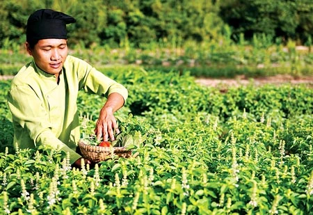 Đặc sản ở resort