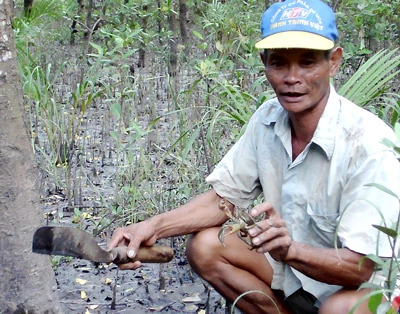 Tôm, cá... về đầy một cửa sông