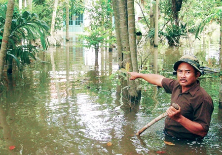 Công trình thủy lợi bờ hữu ven sông Sài Gòn (quận 12): Ngập nặng do thi công cẩu thả, kéo dài
