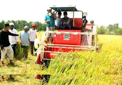 Tiến sĩ Lê Văn Bảnh, Viện trưởng Viện Lúa ĐBSCL: Đầu tư đồng bộ để tăng chuỗi giá trị lúa gạo