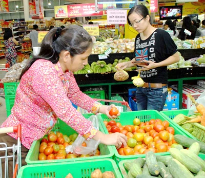 TS Trần Du Lịch, Phó Trưởng đoàn đại biểu Quốc hội TPHCM: Kiềm chế lạm phát một con số là thành công