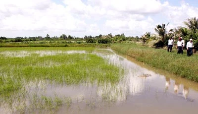 Bạc Liêu: Hơn 53 ngàn hecta lúa, tôm, hoa màu chìm trong nước