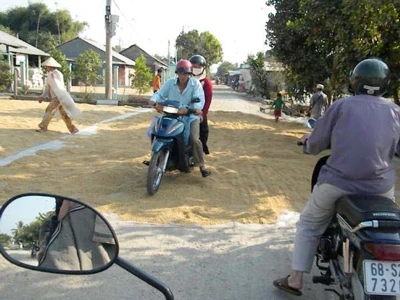 Cần đầu tư sân phơi cho nông dân