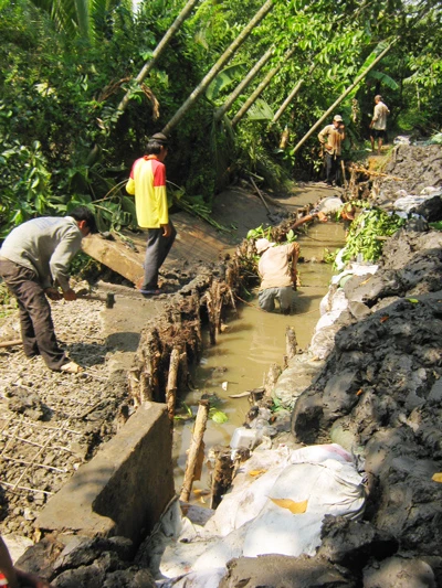 Vỡ bờ bao tại phường Hiệp Bình Chánh