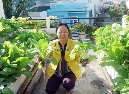 Đà Nẵng: Nông nghiệp sinh thái đô thị - giải pháp của tương lai