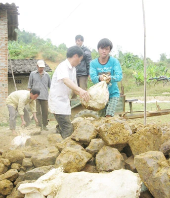 Nhìn quặng... đi, lòng quặn đau!