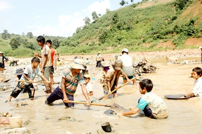 Trẻ bỏ học đi đãi vàng