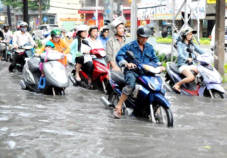 Chống ngập cục bộ sẽ gây ô nhiễm môi trường