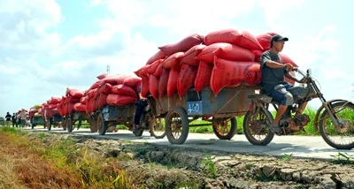 Hội thảo "Triển khai đồng bộ các giải pháp thúc đẩy phát triển kinh tế nông nghiệp - nông thôn" - Bài 2: Định hướng các giải pháp lớn