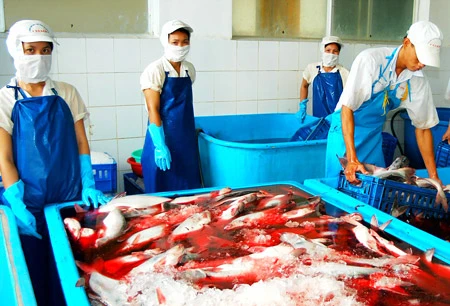 WWF tạo sự cố để bán chứng chỉ cá tra?