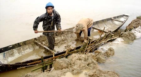 Mưa rét gây khó sản xuất nông nghiệp