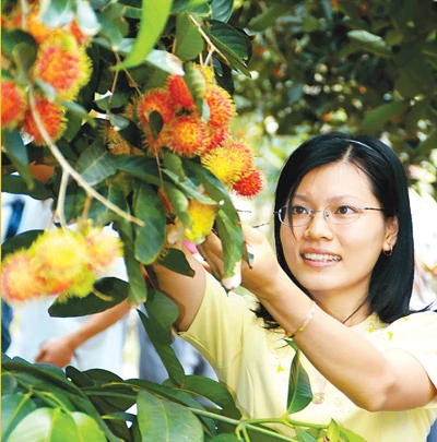 Nông sản ĐBSCL trúng mùa, được giá: Nông dân phấn khởi