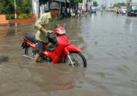 Những việc cần làm ngay