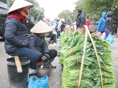 Sáng nay, miền Bắc lại rét đậm, rét hại nặng