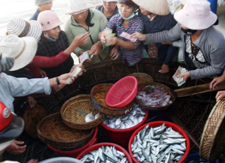 Mô hình tàu mẹ - tàu con