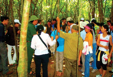 Bảo tồn và phát huy giá trị di tích tại TPHCM - Chuyển biến tích cực