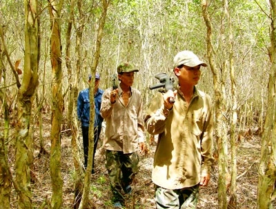 Đồng bằng sông Cửu Long - Canh cánh... cháy rừng