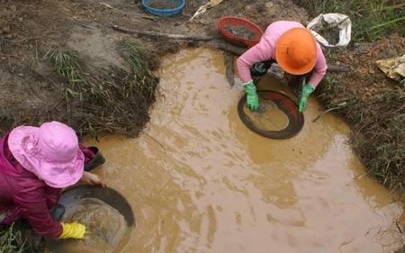 Lâm Đồng: Truy quét thiếc tặc quy mô lớn