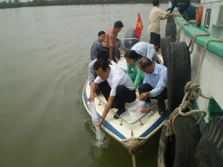 Trà Vinh: Thả ra biển hơn 3,2 triệu con tôm sú giống