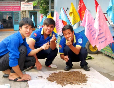 Những khắc tinh của “đinh tặc”