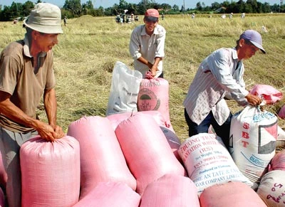 Phản hồi từ loạt bài “Nông nghiệp nông thôn - trụ đỡ an sinh xã hội”: Góp sức cải thiện đời sống nhân dân