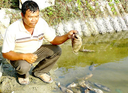 Khánh Hòa: Nhà máy đường “hành dân”