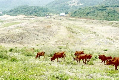 Dự án Cải thiện vệ sinh môi trường TP Nha Trang - Thi công chậm, nguy cơ bị cắt vốn