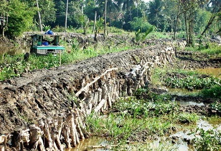 Hệ thống bờ bao chống triều cường ở TPHCM - Bao giờ người dân hết lo?