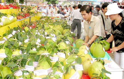 Niềm vui trúng mùa - được giá: Bao giờ trọn vẹn?