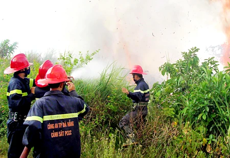 Miền Trung trước hiểm họa cháy rừng