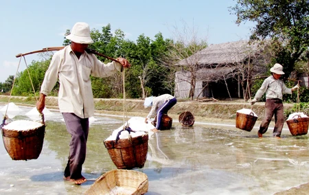 Thừa, thiếu muối - vòng luẩn quẩn