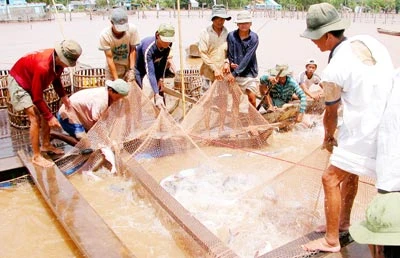 Phát triển thủy điện trên sông Mekong - Mối lo hai đầu đối với ĐBSCL