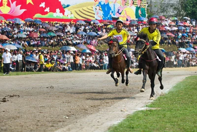 Những kỵ sĩ chân đất