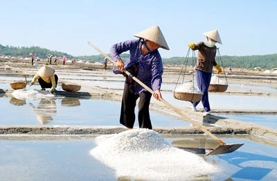 Công nhận thương hiệu muối Sa Huỳnh