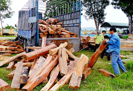 Lâm tặc “đại náo” vùng quê