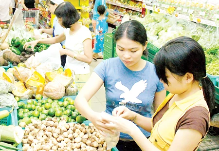 Trong khó khăn, TPHCM vẫn đi đầu