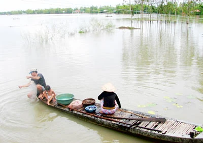 Nước nổi, về Tràm Chim