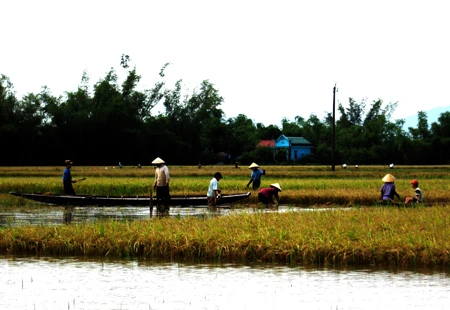 Miền Trung: Mưa lớn, gây ngập úng nhiều nơi