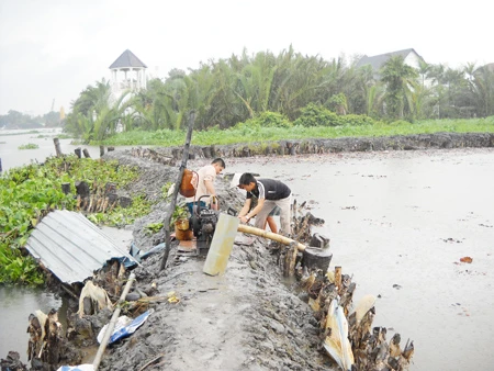 TPHCM: Sáng nay, triều cường gây vỡ bờ bao rạch Hai Sang