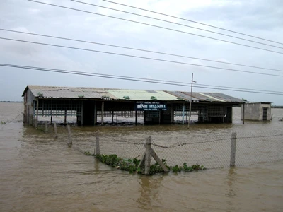 Khẩn cấp ứng phó với lũ lụt ở Đồng bằng sông Cửu Long