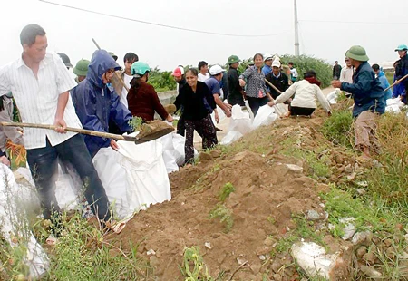 Đê biển ở Cà Mau và Hà Tĩnh bị sạt lở