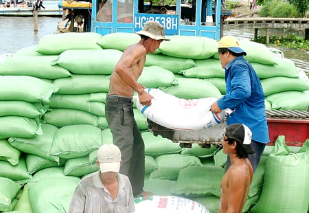 Cánh đồng mẫu lớn - Lời giải bài toán thoát nghèo