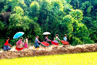 Cuộc thi Ảnh đẹp du lịch 2011 “Việt Nam bốn mùa”: Trần Thiết Dũng đoạt giải nhất