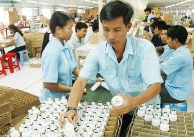 Phấn đấu giảm bội chi xuống dưới 4,8% GDP