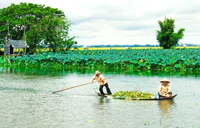 Đối diện nguy cơ ngập nghiêm trọng. Bài 4: Không gian mở cho vùng đồng bằng